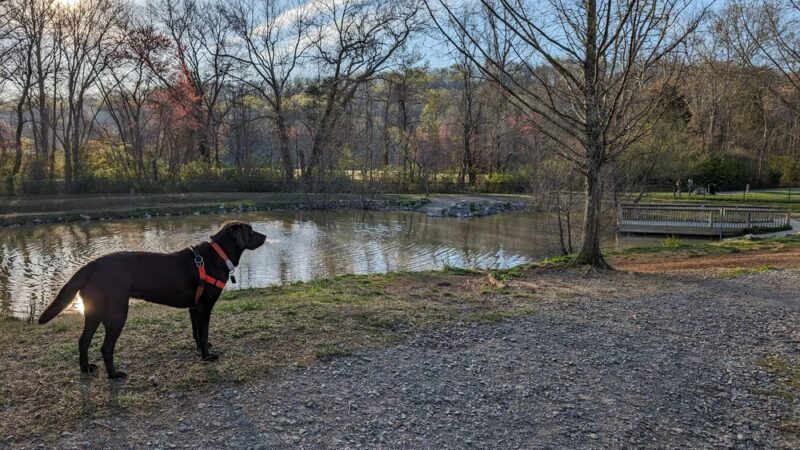 Tommy Schumpert Park - Knoxville, TN