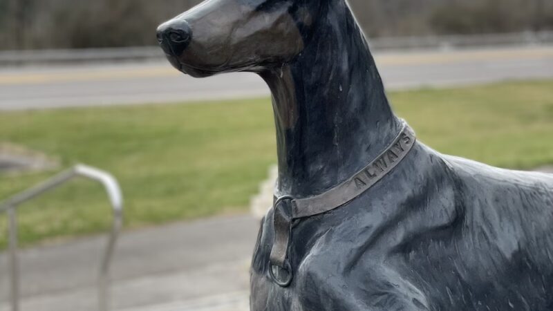 War Dog Memorial - Knoxville, TN