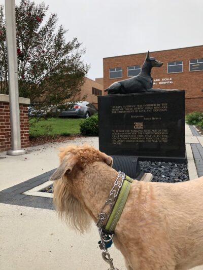 War Dog Memorial - Knoxville, TN