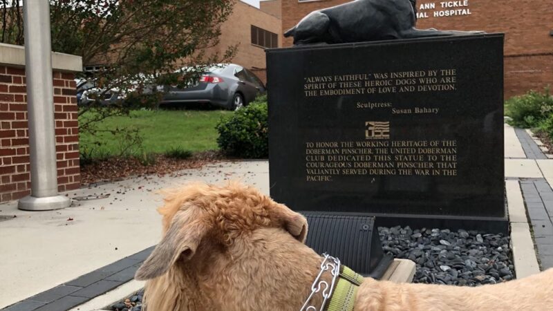 War Dog Memorial - Knoxville, TN