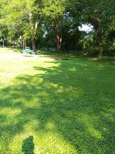 William Powell Park - Knoxville, TN