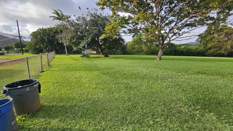 Omao Neighborhood Park - Koloa, HI