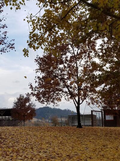 Kooskia City Park - Kooskia, ID