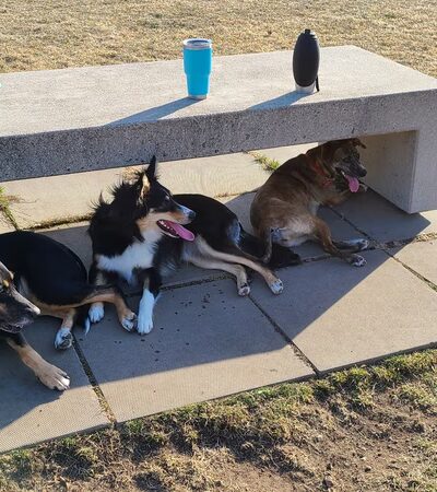 Friendship Park - Kronenwetter, WI