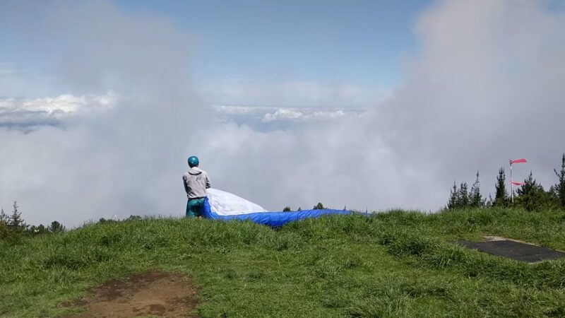 Kula Forest Reserve - Kula, HI