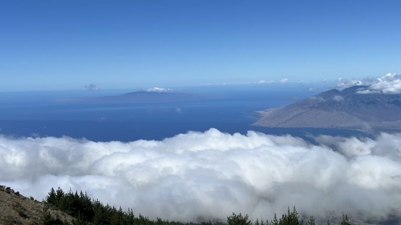 Kula Forest Reserve - Kula, HI