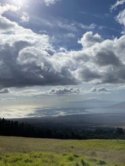 Kula Forest Reserve - Kula, HI