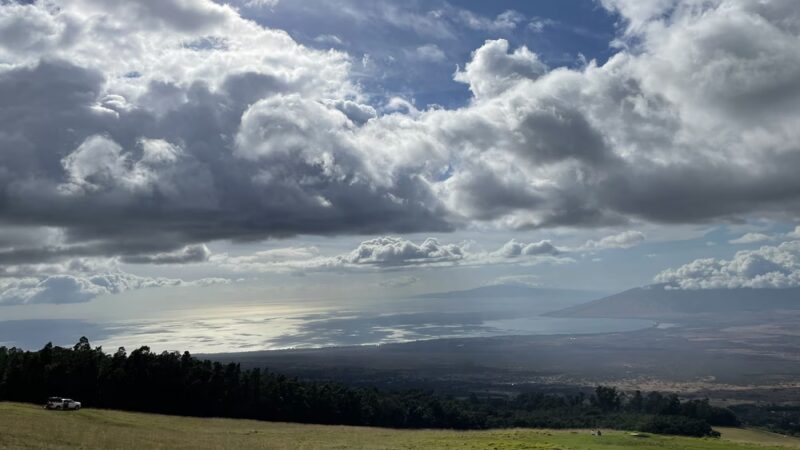 Kula Forest Reserve - Kula, HI