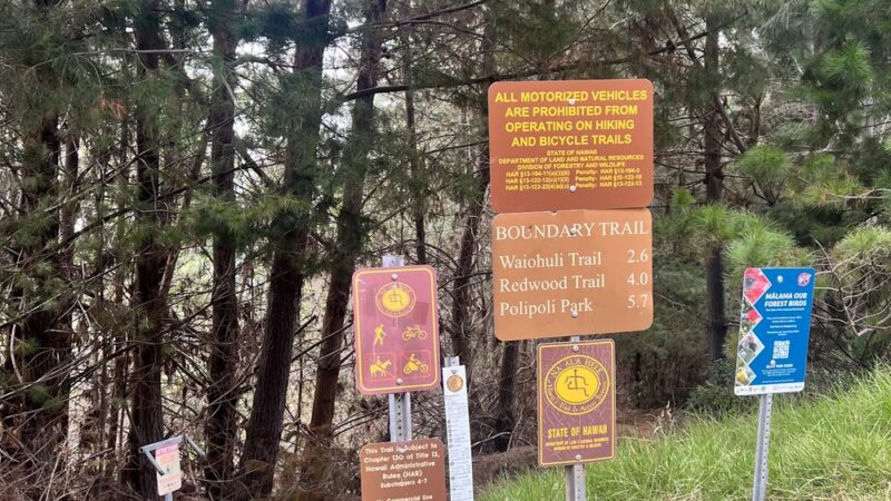 Poli Poli Trail - Kula, HI