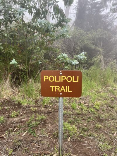 Poli Poli Trail - Kula, HI