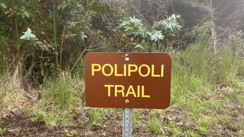 Poli Poli Trail - Kula, HI