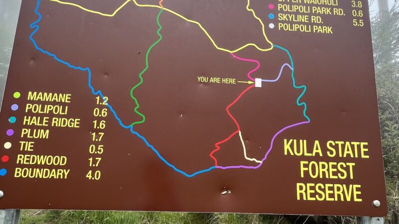 Poli Poli Trail - Kula, HI