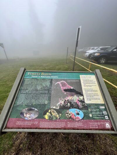 Poli Poli Trail - Kula, HI