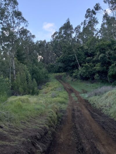 Waiakoa Loop Trail - Kula, HI