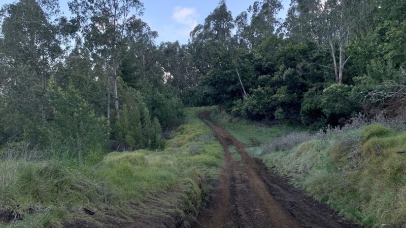 Waiakoa Loop Trail - Kula, HI