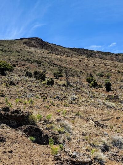 Waiakoa Loop Trail - Kula, HI