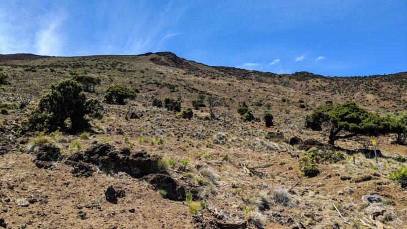 Waiakoa Loop Trail - Kula, HI