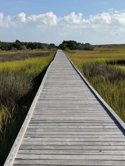 Fort Fisher State Recreation Area - Kure Beach, NC