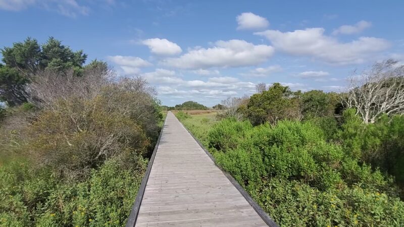 Fort Fisher State Recreation Area - Kure Beach, NC