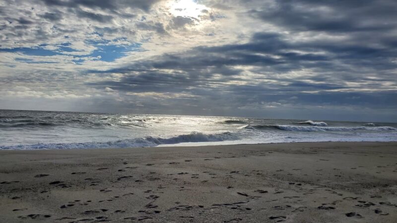 Fort Fisher State Recreation Area - Kure Beach, NC