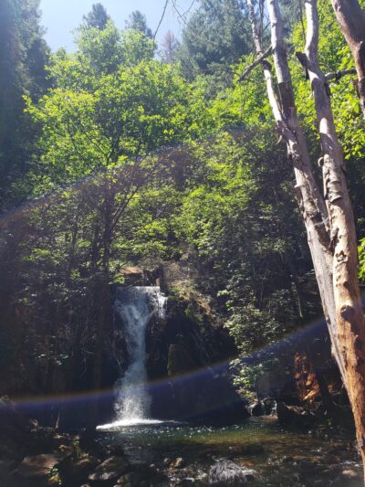 Ice House Road Bassi Falls Trail Parking - Kyburz, CA