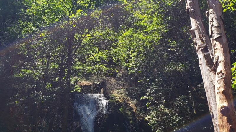 Ice House Road Bassi Falls Trail Parking - Kyburz, CA