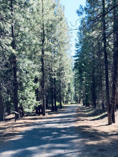 Union Valley Trail - Kyburz, CA
