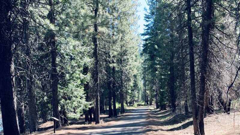 Union Valley Trail - Kyburz, CA