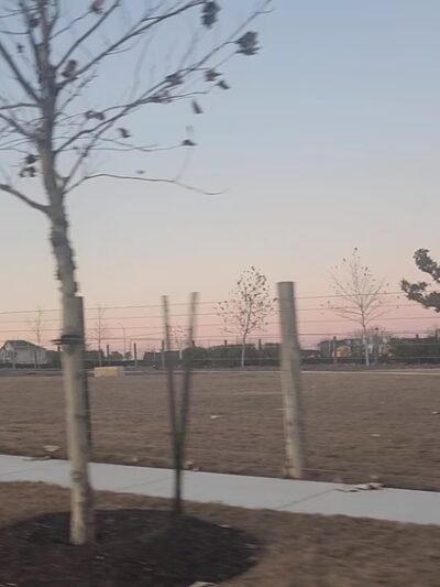 Sage Hollow Dog park - Kyle, TX