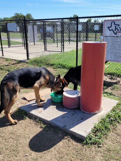Steeplechase Dog Park - Kyle, TX