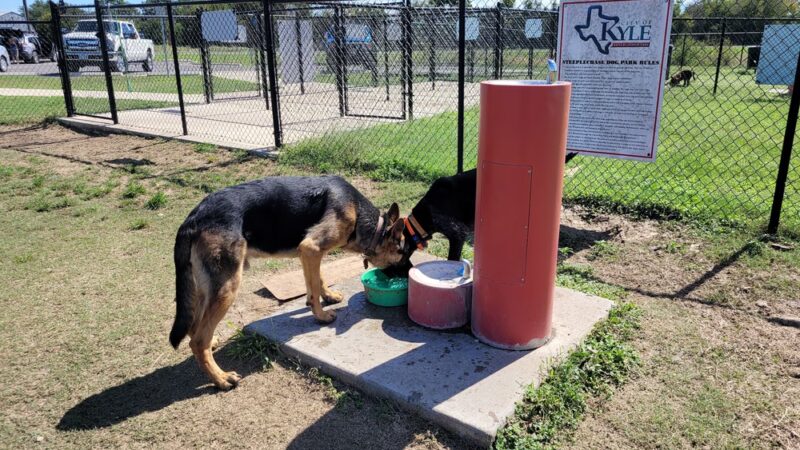 Steeplechase Dog Park - Kyle, TX