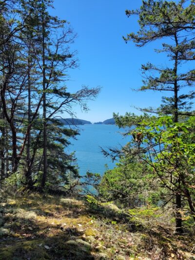 Kukutali Preserve Trailhead - La Conner, WA
