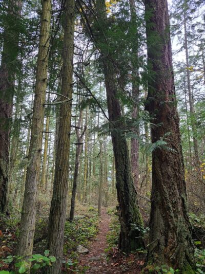 Kukutali Preserve Trailhead - La Conner, WA