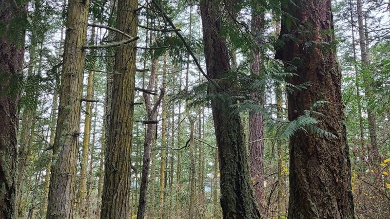 Kukutali Preserve Trailhead - La Conner, WA