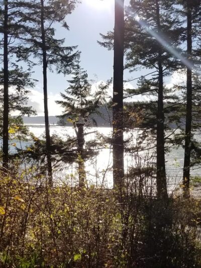Martha's Beach, LaConner, WA - La Conner, WA