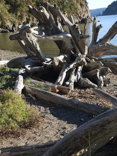 Martha's Beach, LaConner, WA - La Conner, WA