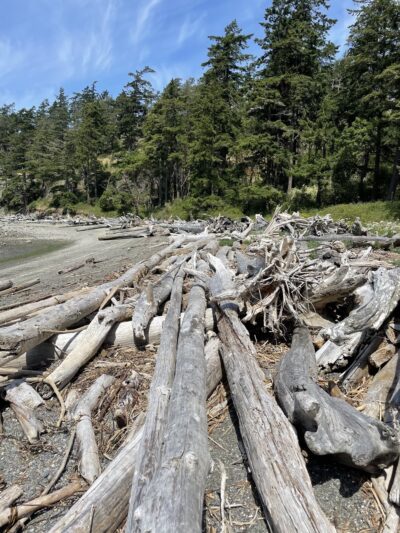 Martha's Beach, LaConner, WA - La Conner, WA