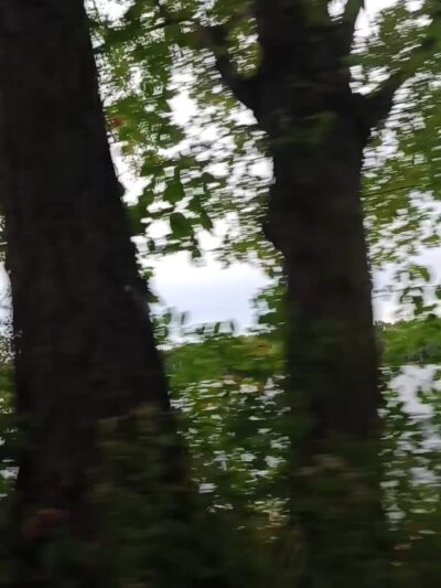 Pettibone Park - La Crosse, WI