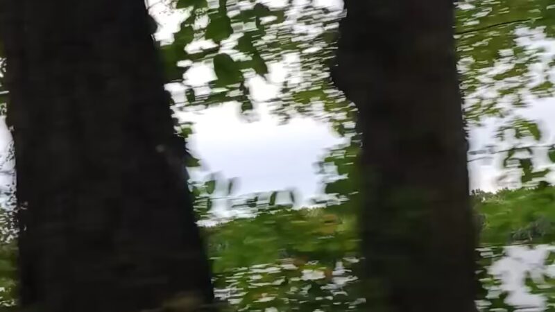 Pettibone Park - La Crosse, WI