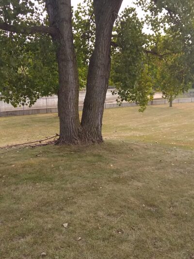 Sherwood Park - La Crosse, WI