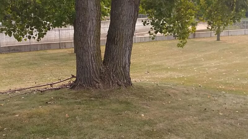 Sherwood Park - La Crosse, WI