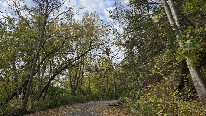 Skemp/Lenox Tract Parking - Mississippi Valley Conservancy - La Crosse, WI
