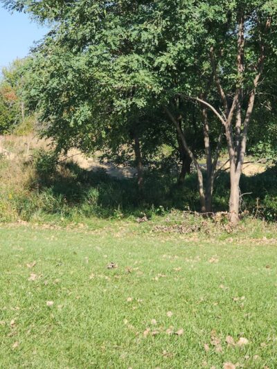 Upper Hixon Forest Trailhead and Pump Track - La Crosse, WI