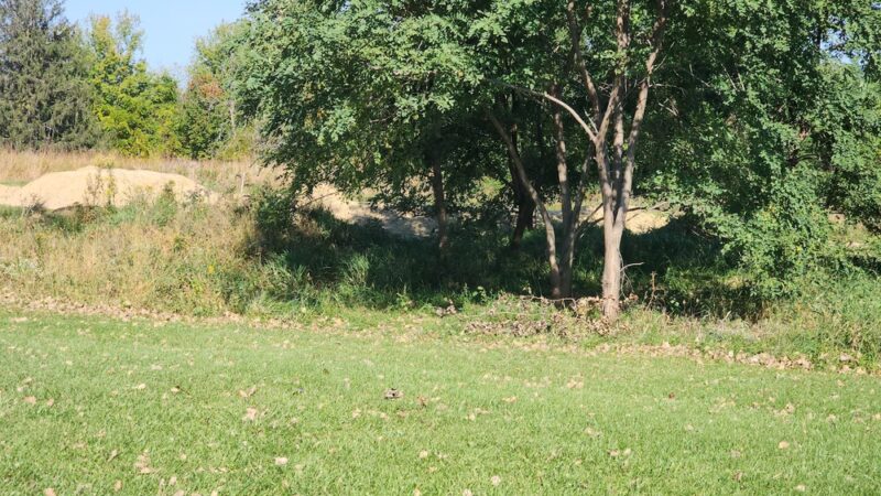 Upper Hixon Forest Trailhead and Pump Track - La Crosse, WI
