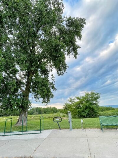 Upper Hixon Forest Trailhead and Pump Track - La Crosse, WI