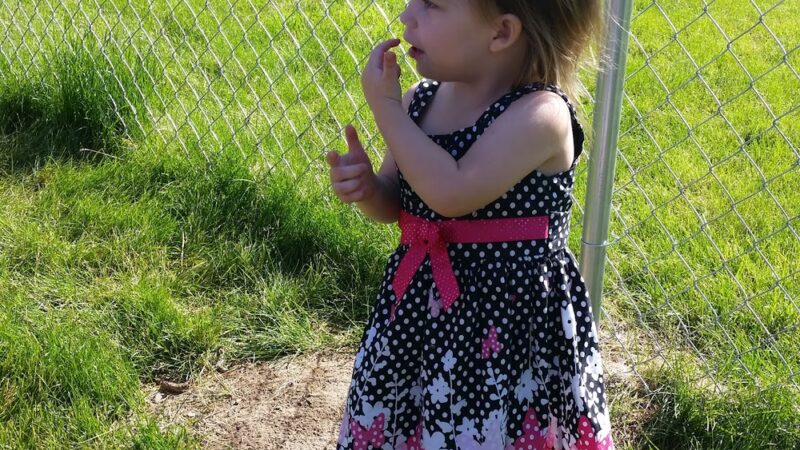 Cook-Crumley Park - La Fontaine, IN