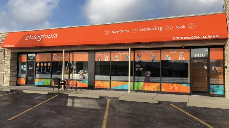 Dogtopia LaGrange - La Grange Highlands, IL