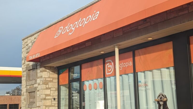 Dogtopia LaGrange - La Grange Highlands, IL