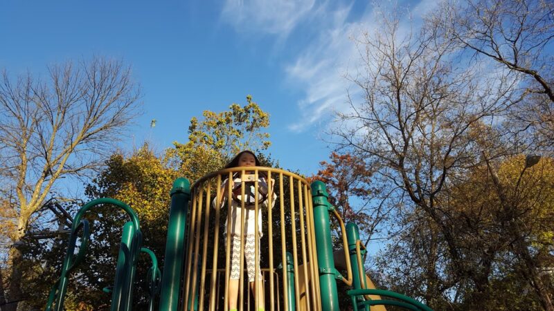 Gilbert Park - La Grange, IL