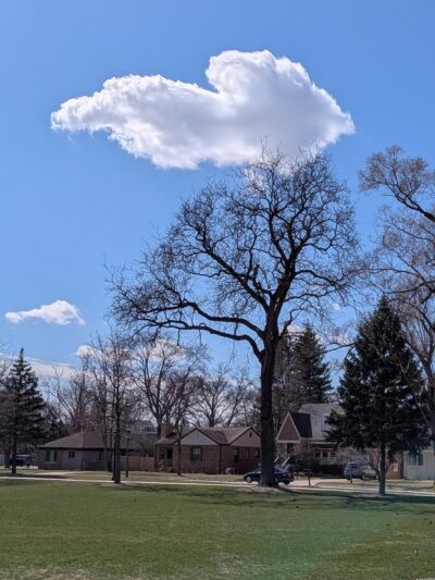 Gilbert Park - La Grange, IL